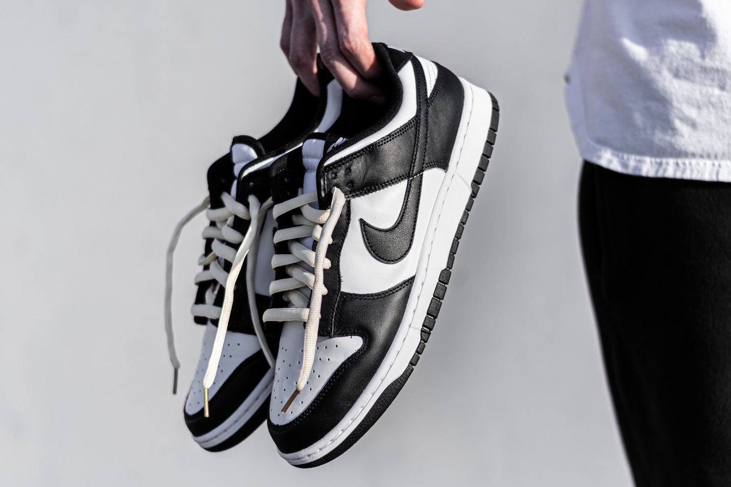 Jordan 1 Dunks Low